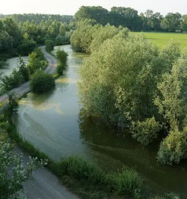 Environment-field-margin-Simbiosi_v2 Environment Field Margin Simbiosi