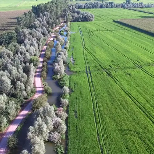 Nature Based Solutions Simbiosi