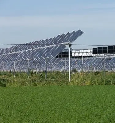 agrivoltaico Simbiosi