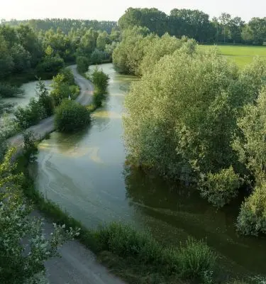 nature-based solution Simbiosi